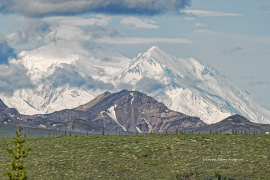 Mount Denali -  Alaska  (2160)