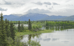 Lake Otto, Healy Alaska  (1787)