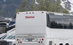 Donna Bus  (3108)