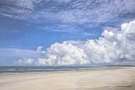 Pawleys Island (image 9900)