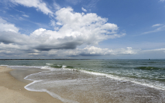 'Almost Summer'  (image 9442)