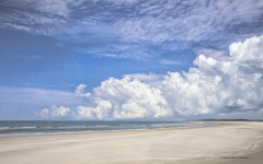 Pawleys Island  (image 9900)