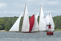 Log Canoes and Osprey Nest on Red Buoy  (2737)
