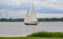 Light Reign Sailboat  (8578)