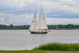 Light Reign Sailboat  (8578)