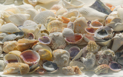 Colors of The Sea   (image 7019)