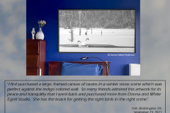 And Winter Came  (image 2790)