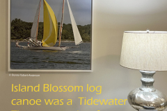 Island Blossom  (image 2605)
