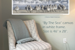 By The Sea  (Image 2846)