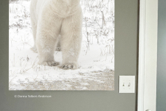 Polar Bear  (image 6692)