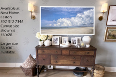 NEW!  Pawleys Island (image 9900) available at Nest Home, Easton  NEW!