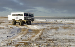 Frontiers North Tundra Buggy  (6887)