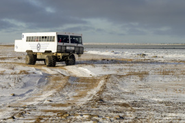 Frontiers North Tundra Buggy  (6887)