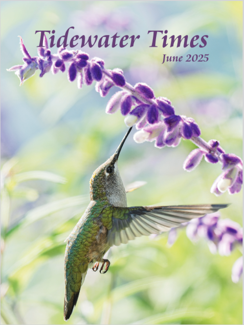 Tidewater Times Cover