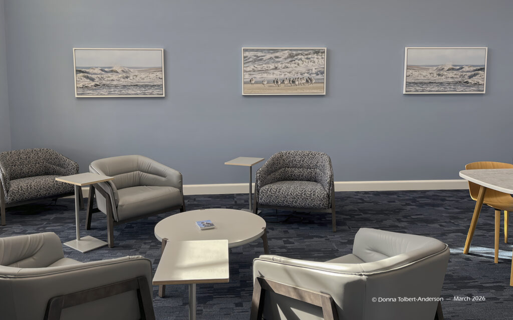 7551 TCFL Beachy Quiet Room for WES gallery