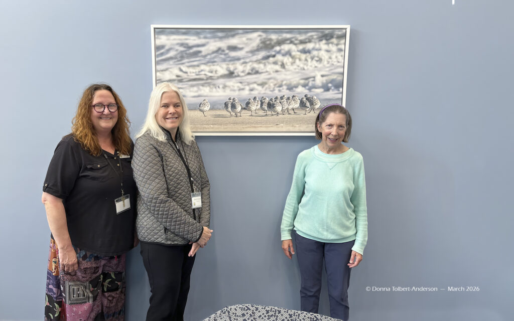 7566 TCFL Dana Amy Donna for WES gallery